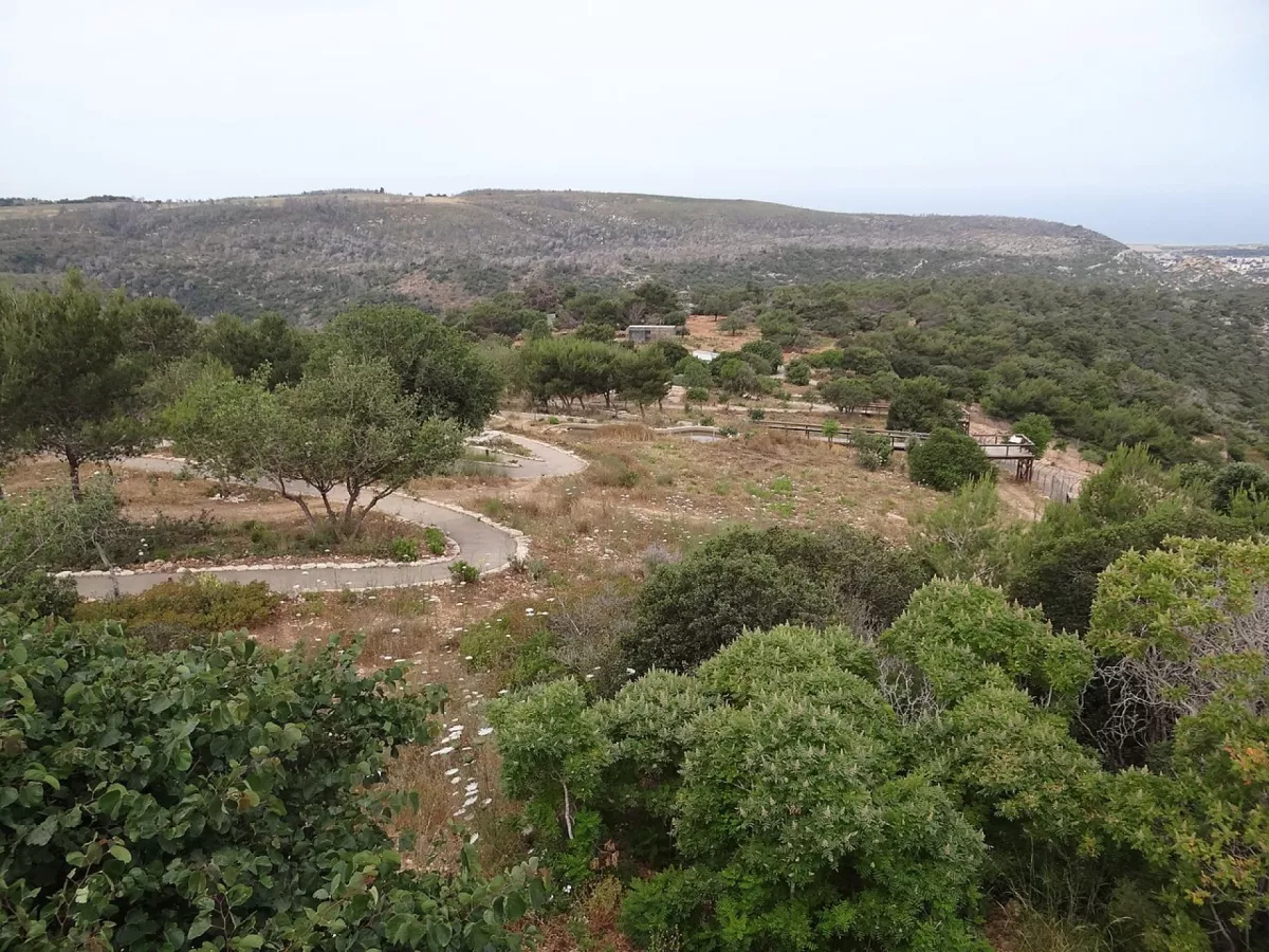 שמורת הטבע החי בר